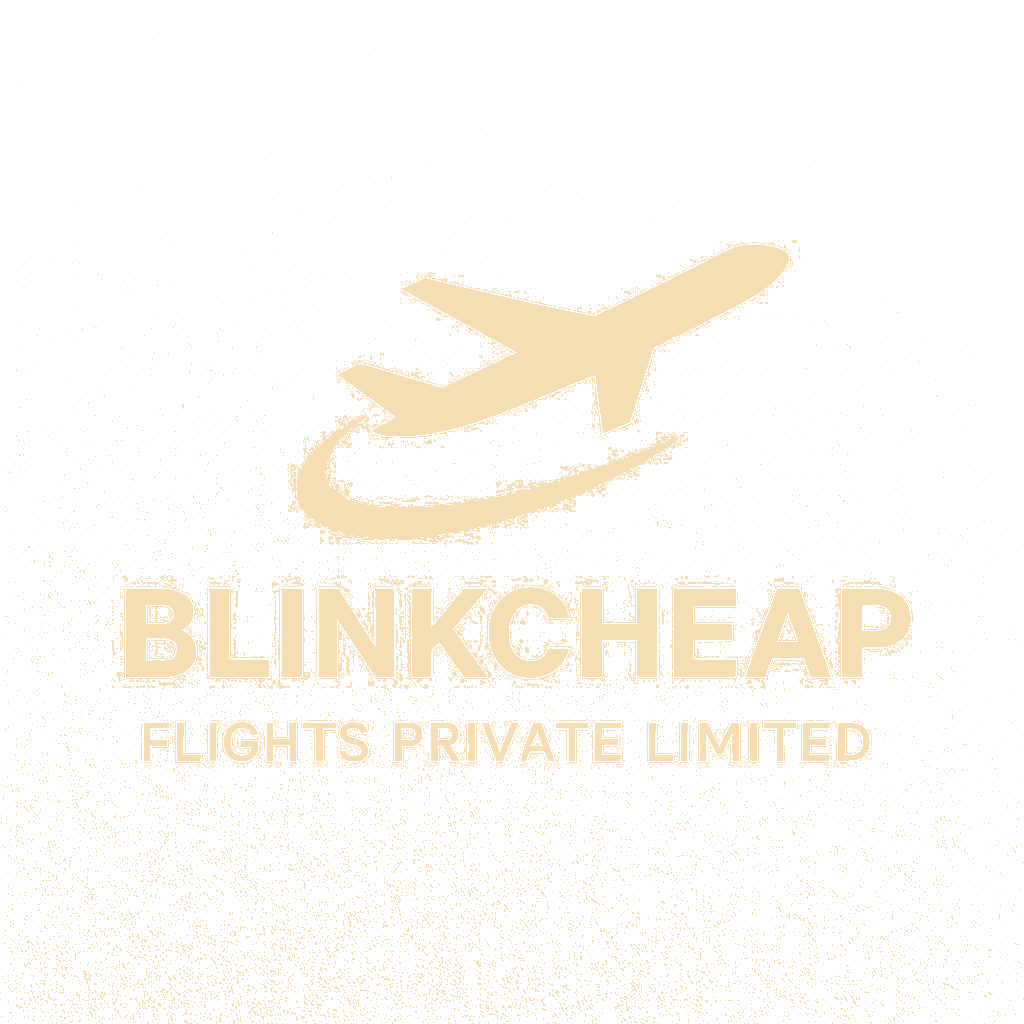 fly logo